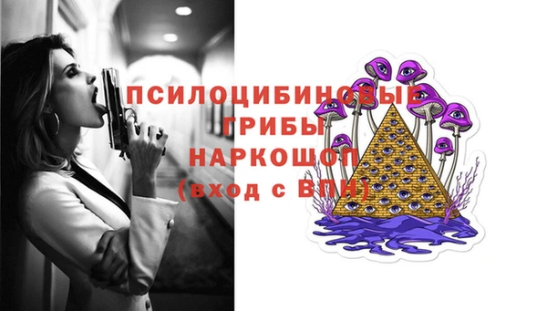 молекула духа Заволжье